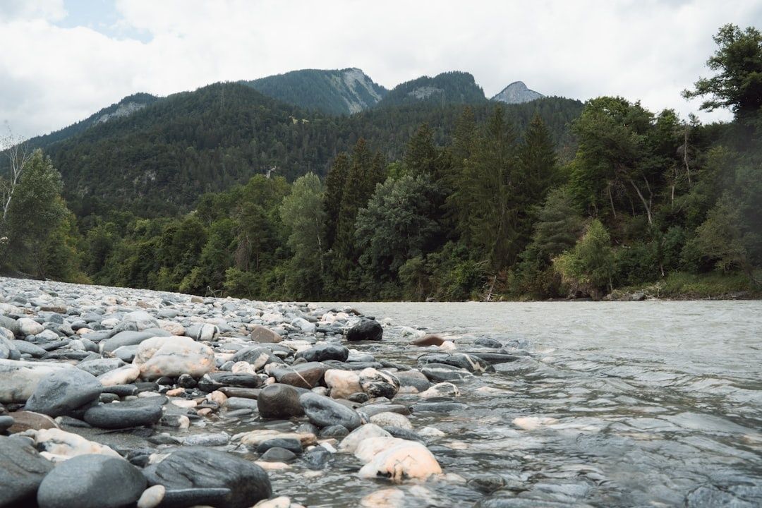 Kiesbank am Fluss Lech vor bewaldeten alpinen Bergen